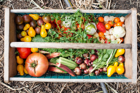 Victorian seasonal produce (Summer Edition)